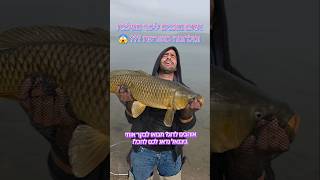מה קורה בכינרת ??? מטורף אני תופס דגי ענק השנה 😱 #דייג #carpfishing