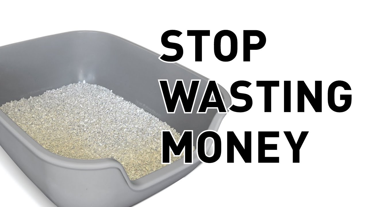 YOU'RE DOING YOUR CAT LITTER WRONG