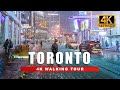 Walking In The Snow In Toronto Canada City Ambience Night Walk 4K HDR 60fps