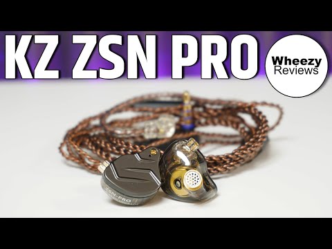 ZSN Pro Review