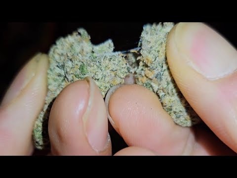 Dulce De Uva Rythm Review