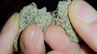 Dulce De Uva - Rythm: NYC Strain Review