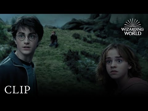 The Whomping Willow | Harry Potter and the Prisoner of Azkaban