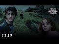 The Whomping Willow Harry Potter And The Prisoner Of Azkaban