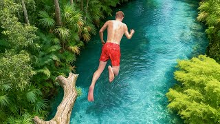 I Found Florida's Secret High Diving Tree