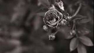 كلمات اغنية اكتفيت فهد الكبيسي