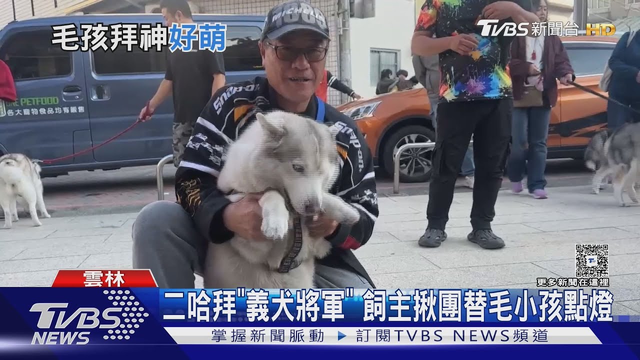 哈士奇揪團拜廟!飼主求「別再拆家」寵物點燈數量暴增