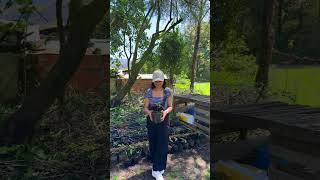 Download lagu Geres National Park North Portugal  #travel #portugal #gerês #beautifuldestinations mp3