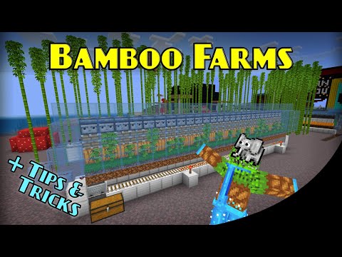 Ultimate Bamboo Farm Tutorial | Minecraft Bedrock