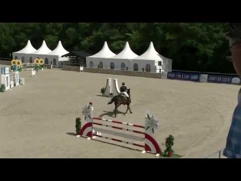 Cantoro (Holst - 2010 - Contendro x Campione)