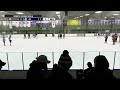 LTU Men's D1 Ice Hockey | LTU vs Indiana Tech University | Live Stream 1-20-24