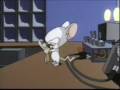 Pinky and the Brain: Christmas Wish 