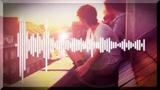 Hermitude - Through the Roof (ft. Young Tapz)