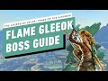 The Legend of Zelda: Tears of the Kingdom - Flame Gleeok Miniboss Gameplay Walkthrough