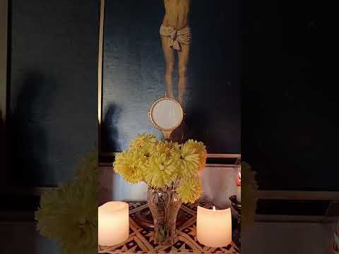Adoración al Santísimo Sacramento del Altar con el Padre Fabian Esteban Oliva. 19/05/26