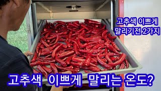 고추색 이쁘게 말리는 온도와 말리기전 중요한 2가지 건고추 고추건조기 솔림농원 텃밭 주말농장 귀농귀총,전원일…