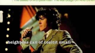 Donovan - A sunny day