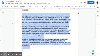 Essay Format   Google Docs