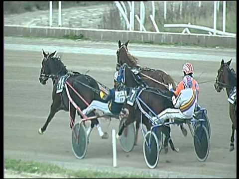 Trotto 19/01/2016 - 3° corsa