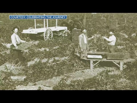 On The Map: Raisin City