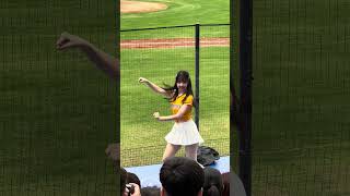 【Passion Sisters】#衣宸 ドミニカVS中信兄弟@桃園棒球場 20241110 #台湾チア #cheerdance #cheerleading #passionsisters