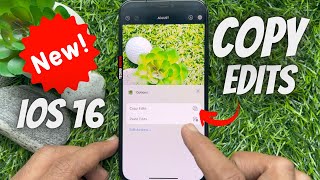 How to Copy and Paste Photo Edits on iPhone