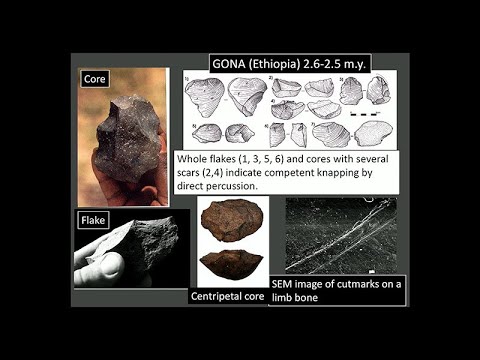 CARTA Presents The Origins of Today's Humans - Paola Villa, The Archaeology of Ancient Tools