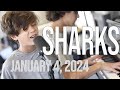 SHARKS Imagine Dragons cover Jan 4, 2024