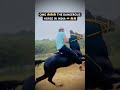 OMG ????????????#youtubeshorts #horse #youtube #animals #pets #instagram #muslim #horseriding#love