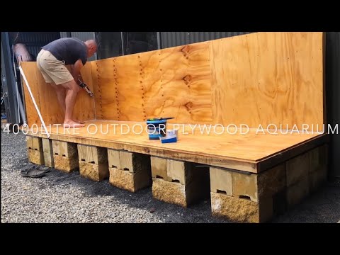 Plywood Aquarium Construction in Timelapse