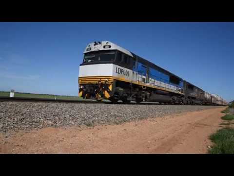 SCT 5MP9 LDP1 SCT008