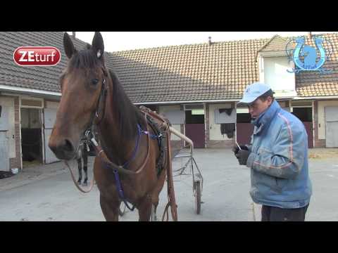 ZAPPING AVRIL (Part1) - A2TURF.COM