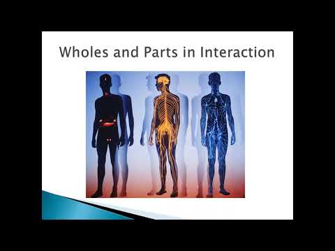 Master Class Introduction to Interpretive Description