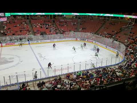 Greenville Swamp Rabbits Hockey 🏒 3/10 #hockey #echl #swamprabbits GreenvilleSportsMedia.com