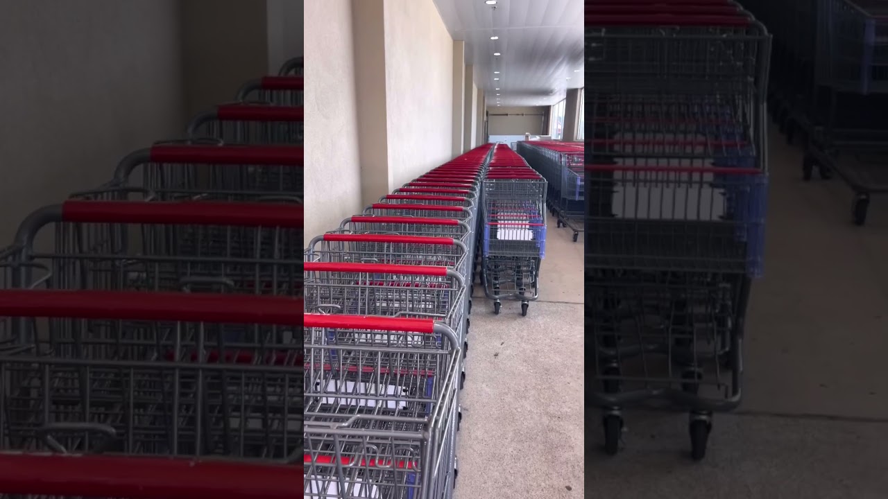 Carts #grocery #shopping #benjabenji #asmr #trending #viral