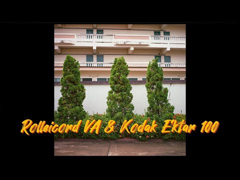 Rolleicord VA & Kodak Ektar 100 Roll 2