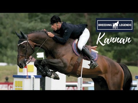 Breeding Legends | Kannan 😍 | Im Springblut ist dieser Vererber nicht mehr wegzudenken!