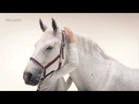 Horse1 Channel ID "Romantik" - Dallas Sthlm