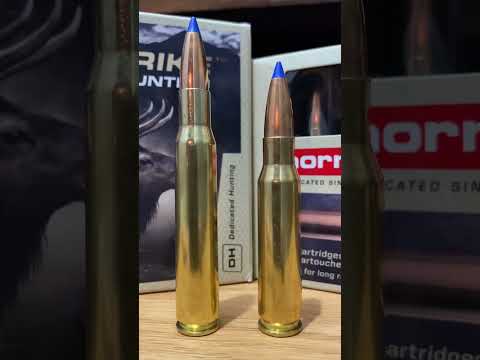 Recovered Norma BONDSTRIKE Bullet During Aoudad Hunt in West Texas