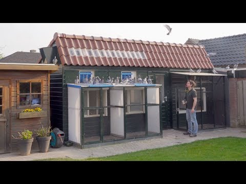 Vlog #5 I Things are not going as planned