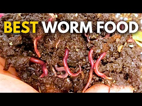 What to Feed Worms: Vermicompost Made EASY