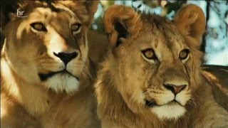 Elton John - Circle of Life