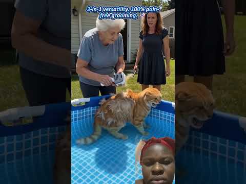 #cat #duet #pets #youtubeshorts