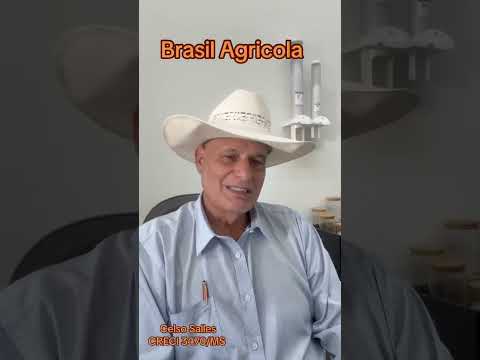 Chamada Celso Salles   Video 2026 07 06 at 14 58 46 2