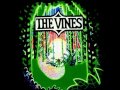 The Vines - 1969 (HD)