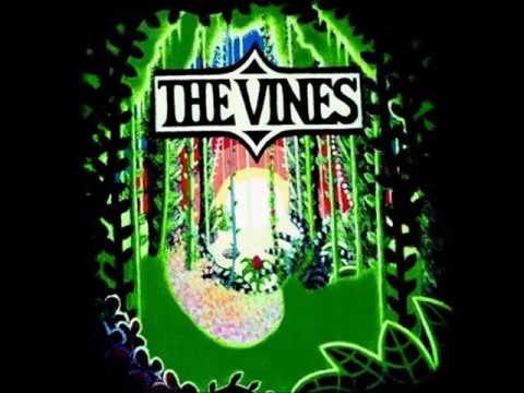 1969 video