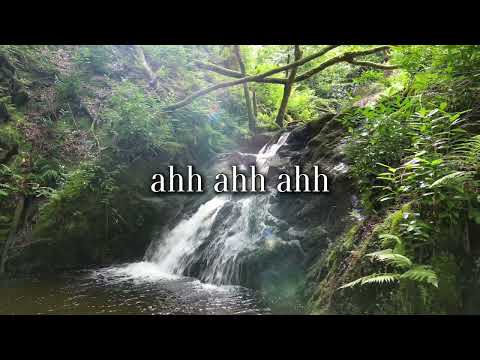 Stay Wild - Fauna & Azrames Theme | Giorg¡a (Official Lyric video)