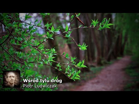 Wśród tylu dróg - Piotr Ludwiczak