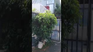 Download lagu rumah ryan hidayat mp3