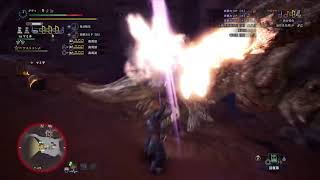 [実況]モンスターハンター　ソロ狩猟笛　vs　ディアブロス